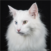 _05B6719_web