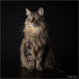 _05B5355_web