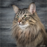 _05B7810_web