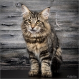 _H8A9626-3_web