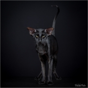 _H8A0061_web