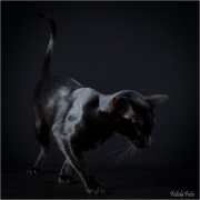 _H8A2104_web