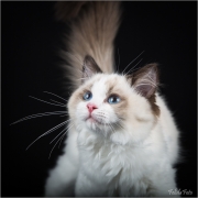 _05B8909_web