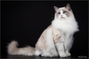 _H8A0505_web