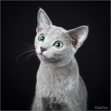 _05B9021-2_web