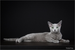_05B9065-2_web