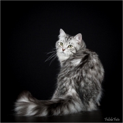 _05B4856_web