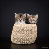 _05B9090_web