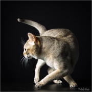 _H8A0599_web