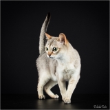 _H8A0608_web