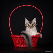 _05B4597_web