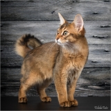 _H8A9592-3_web